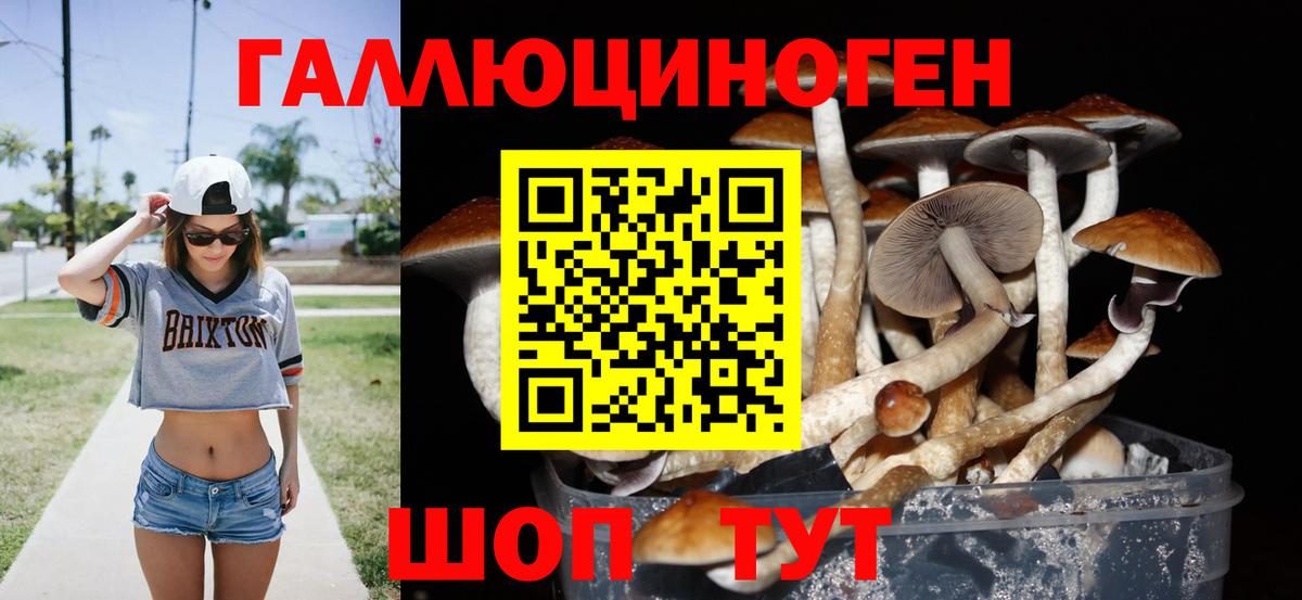 Галлюциногенные грибы ЛСД  Вход с VPN  Абакан  Галлюциногенные грибы Psilocybine cubensis 